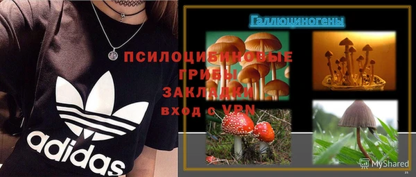винт Снежногорск
