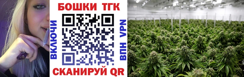 Купить закладки  Приозерск  Шишки марихуана Amnesia 